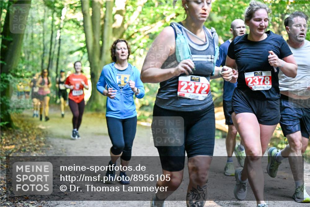 28.09.2025 - 33. Volkslauf durch das schöne Alstertal Dr. Thomas Lammeyer http://msf.ph/oto/8956105 28.09.2025 10:43:47 Laufen 2372, 2378 meine-sportfotos.de