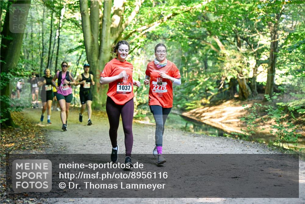28.09.2025 - 33. Volkslauf durch das schöne Alstertal Dr. Thomas Lammeyer http://msf.ph/oto/8956116 28.09.2025 10:43:49 Laufen 1037, 2275 meine-sportfotos.de
