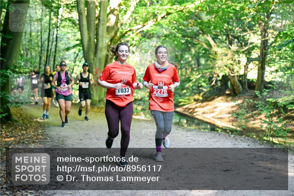 28.09.2025 - 33. Volkslauf durch das schöne Alstertal Dr. Thomas Lammeyer http://msf.ph/oto/8956117 28.09.2025 10:43:49 Laufen 037, 2275 meine-sportfotos.de