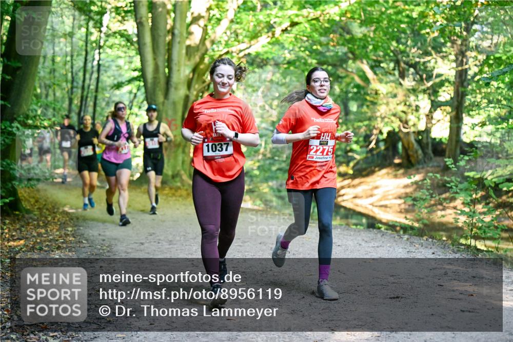 28.09.2025 - 33. Volkslauf durch das schöne Alstertal Dr. Thomas Lammeyer http://msf.ph/oto/8956119 28.09.2025 10:43:50 Laufen 1037, 2275 meine-sportfotos.de