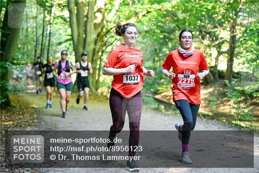 28.09.2025 - 33. Volkslauf durch das schöne Alstertal Dr. Thomas Lammeyer http://msf.ph/oto/8956123 28.09.2025 10:43:50 Laufen 1037, 2275 meine-sportfotos.de