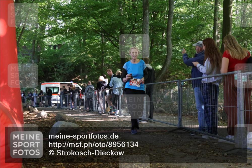 28.09.2025 - 33. Volkslauf durch das schöne Alstertal Strokosch-Dieckow http://msf.ph/oto/8956134 28.09.2025 12:50:36 Ziel 2283 meine-sportfotos.de
