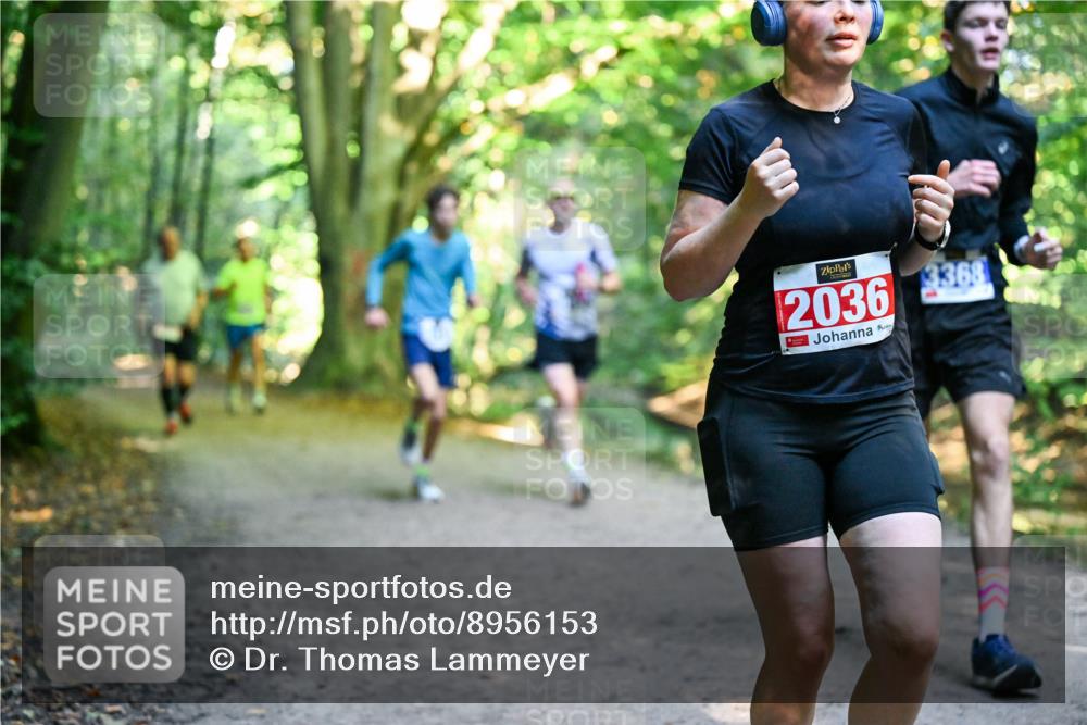 28.09.2025 - 33. Volkslauf durch das schöne Alstertal Dr. Thomas Lammeyer http://msf.ph/oto/8956153 28.09.2025 10:43:55 Laufen 2036, 368 meine-sportfotos.de
