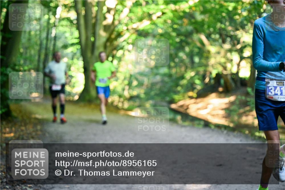 28.09.2025 - 33. Volkslauf durch das schöne Alstertal Dr. Thomas Lammeyer http://msf.ph/oto/8956165 28.09.2025 10:43:57 Laufen 341 meine-sportfotos.de