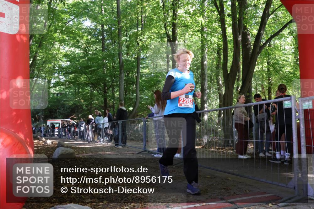 28.09.2025 - 33. Volkslauf durch das schöne Alstertal Strokosch-Dieckow http://msf.ph/oto/8956175 28.09.2025 12:50:38 Ziel  meine-sportfotos.de