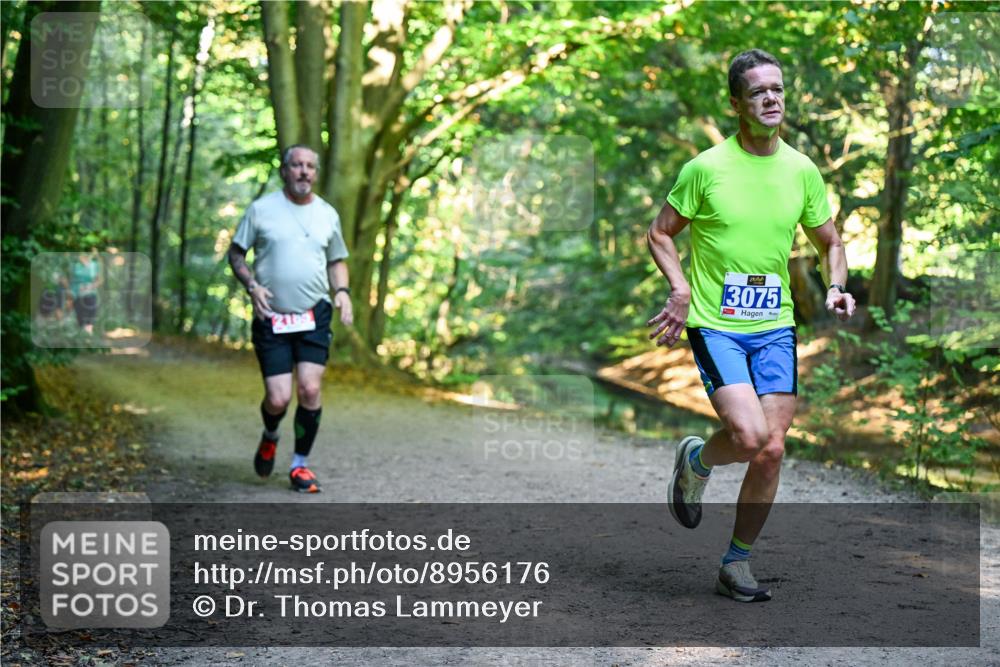 28.09.2025 - 33. Volkslauf durch das schöne Alstertal Dr. Thomas Lammeyer http://msf.ph/oto/8956176 28.09.2025 10:43:59 Laufen 3075 meine-sportfotos.de