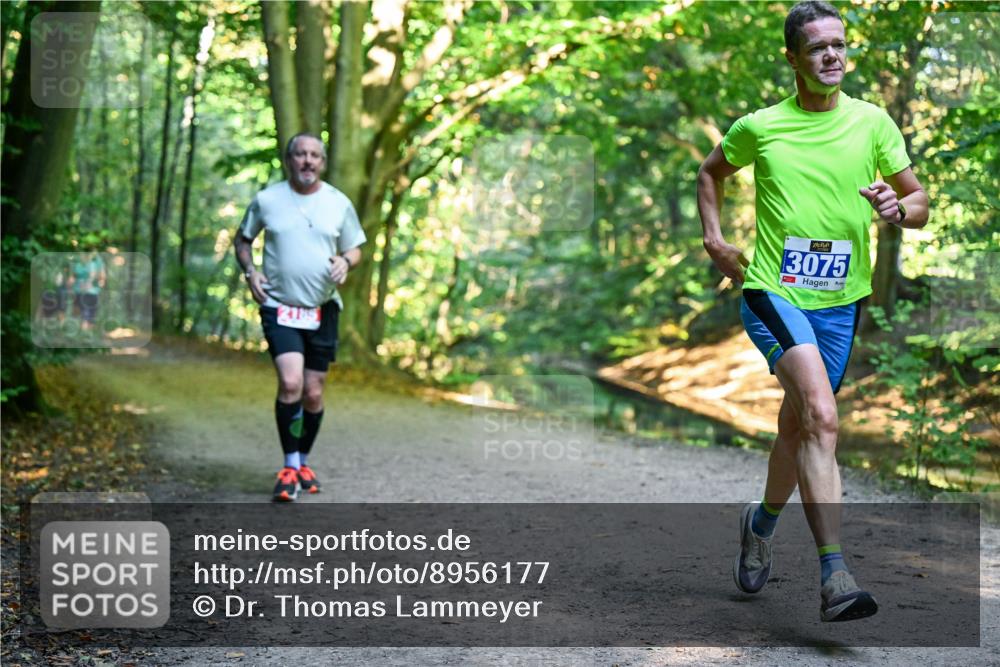 28.09.2025 - 33. Volkslauf durch das schöne Alstertal Dr. Thomas Lammeyer http://msf.ph/oto/8956177 28.09.2025 10:43:59 Laufen 3075 meine-sportfotos.de
