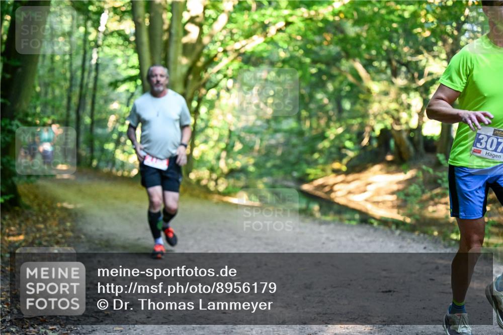 28.09.2025 - 33. Volkslauf durch das schöne Alstertal Dr. Thomas Lammeyer http://msf.ph/oto/8956179 28.09.2025 10:43:59 Laufen 307 meine-sportfotos.de