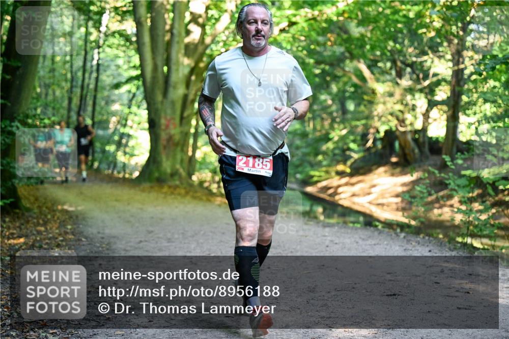 28.09.2025 - 33. Volkslauf durch das schöne Alstertal Dr. Thomas Lammeyer http://msf.ph/oto/8956188 28.09.2025 10:44:00 Laufen 2185 meine-sportfotos.de