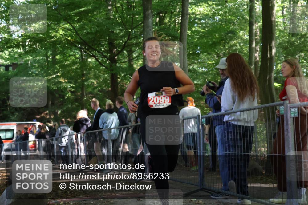 28.09.2025 - 33. Volkslauf durch das schöne Alstertal Strokosch-Dieckow http://msf.ph/oto/8956233 28.09.2025 12:51:14 Ziel 2099 meine-sportfotos.de