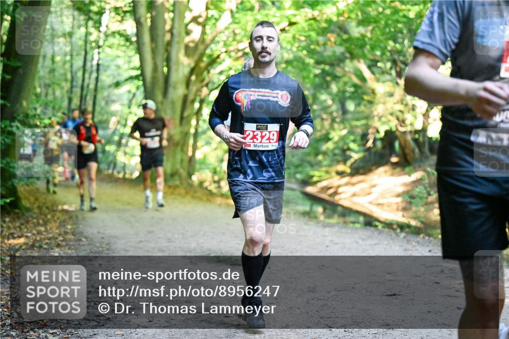 28.09.2025 - 33. Volkslauf durch das schöne Alstertal Dr. Thomas Lammeyer http://msf.ph/oto/8956247 28.09.2025 10:44:12 Laufen 2329 meine-sportfotos.de