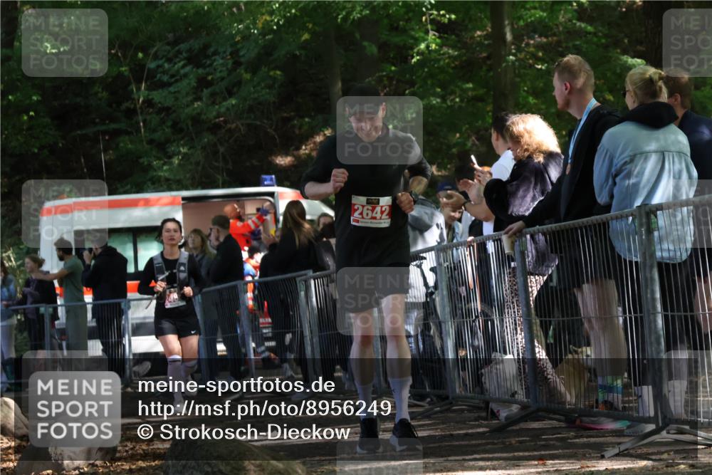 28.09.2025 - 33. Volkslauf durch das schöne Alstertal Strokosch-Dieckow http://msf.ph/oto/8956249 28.09.2025 12:51:23 Ziel 2488, 2642 meine-sportfotos.de