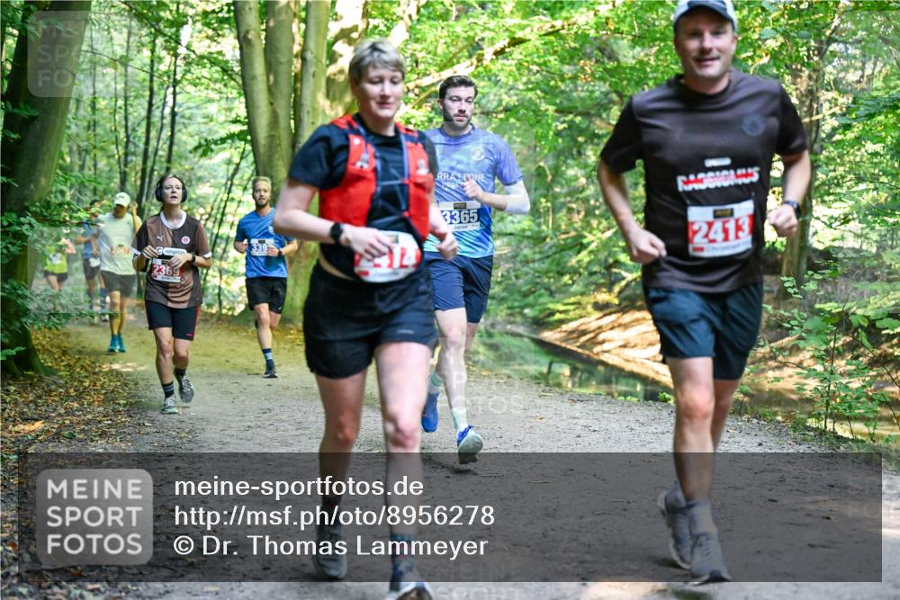 28.09.2025 - 33. Volkslauf durch das schöne Alstertal Dr. Thomas Lammeyer http://msf.ph/oto/8956278 28.09.2025 10:44:17 Laufen 2369, 3365, 2413 meine-sportfotos.de