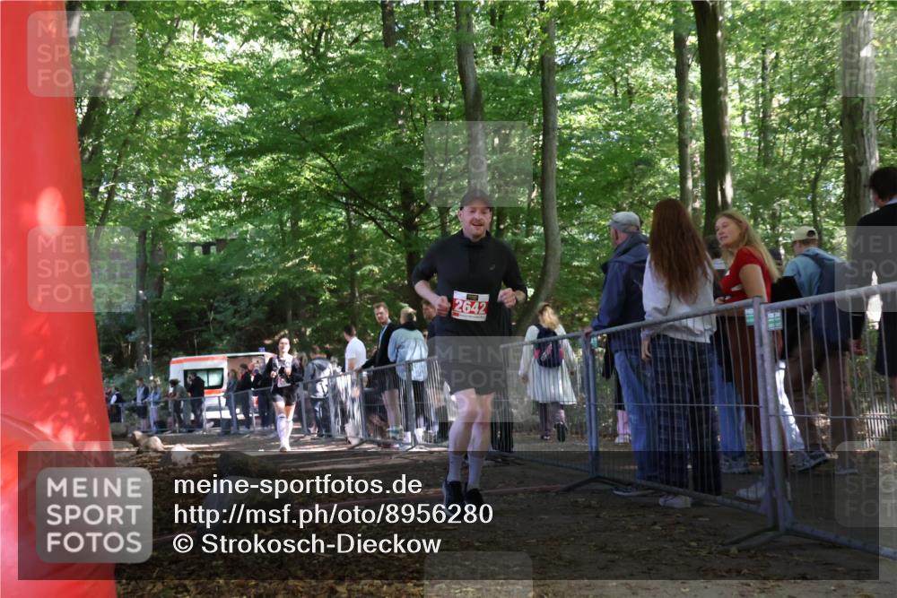 28.09.2025 - 33. Volkslauf durch das schöne Alstertal Strokosch-Dieckow http://msf.ph/oto/8956280 28.09.2025 12:51:27 Ziel 2488, 2642 meine-sportfotos.de