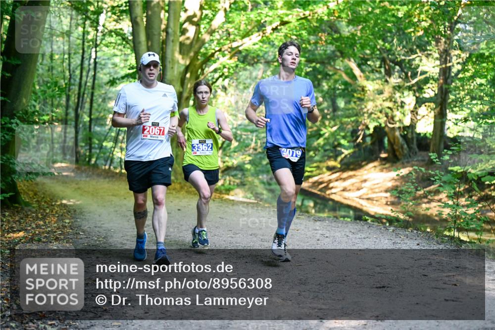 28.09.2025 - 33. Volkslauf durch das schöne Alstertal Dr. Thomas Lammeyer http://msf.ph/oto/8956308 28.09.2025 10:44:22 Laufen 2067, 3362, 3079 meine-sportfotos.de