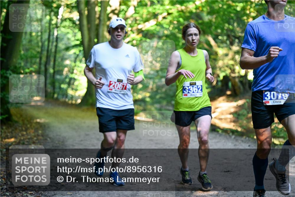 28.09.2025 - 33. Volkslauf durch das schöne Alstertal Dr. Thomas Lammeyer http://msf.ph/oto/8956316 28.09.2025 10:44:23 Laufen 2067, 3362, 3079 meine-sportfotos.de