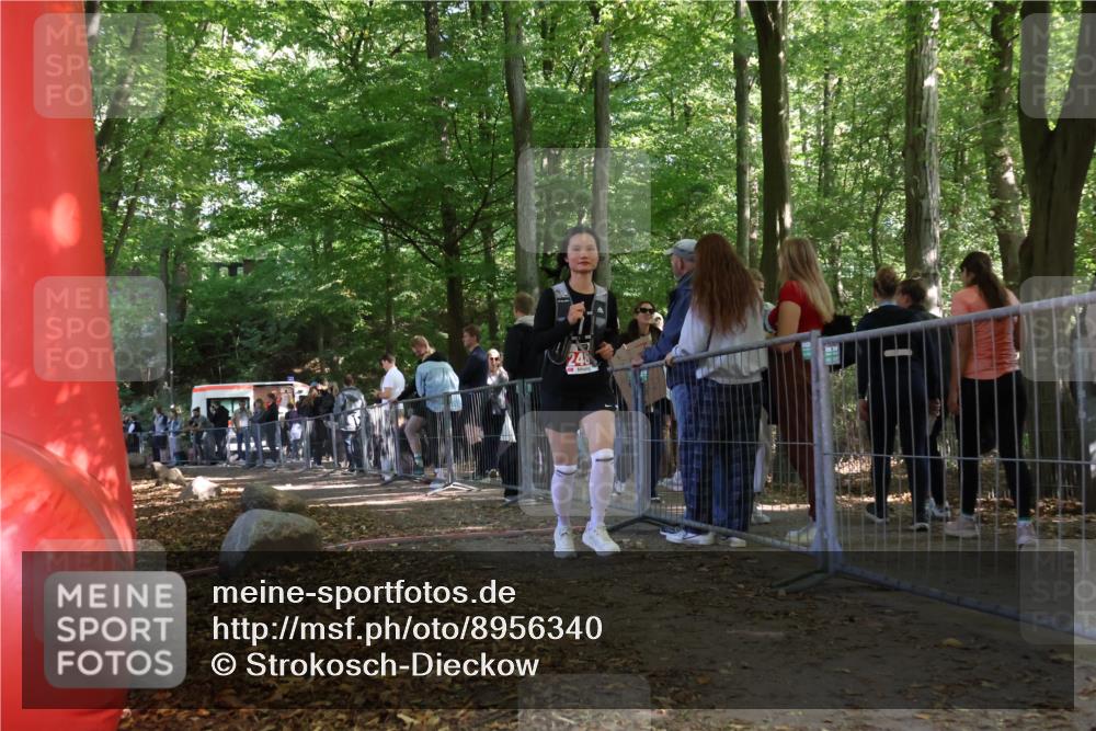 28.09.2025 - 33. Volkslauf durch das schöne Alstertal Strokosch-Dieckow http://msf.ph/oto/8956340 28.09.2025 12:51:31 Ziel 2488 meine-sportfotos.de