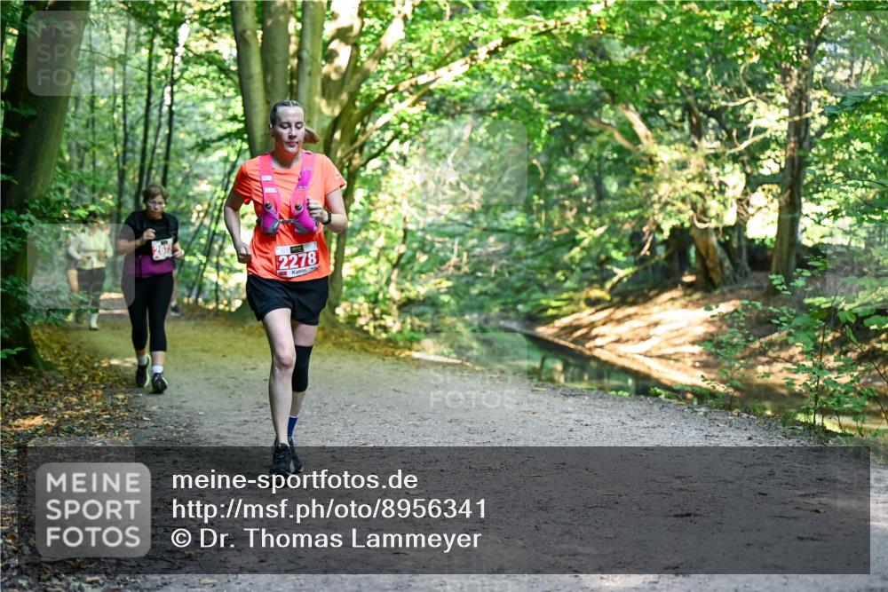 28.09.2025 - 33. Volkslauf durch das schöne Alstertal Dr. Thomas Lammeyer http://msf.ph/oto/8956341 28.09.2025 10:44:40 Laufen 2278 meine-sportfotos.de
