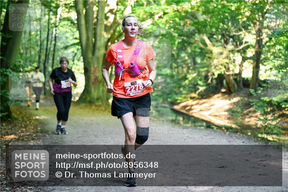 28.09.2025 - 33. Volkslauf durch das schöne Alstertal Dr. Thomas Lammeyer http://msf.ph/oto/8956348 28.09.2025 10:44:40 Laufen 2278 meine-sportfotos.de