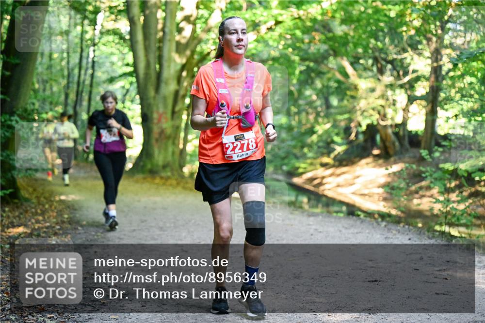 28.09.2025 - 33. Volkslauf durch das schöne Alstertal Dr. Thomas Lammeyer http://msf.ph/oto/8956349 28.09.2025 10:44:41 Laufen 2278 meine-sportfotos.de