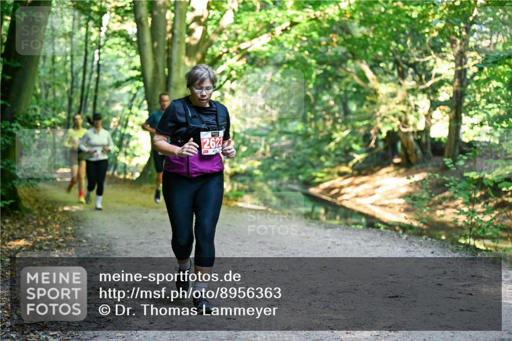 28.09.2025 - 33. Volkslauf durch das schöne Alstertal Dr. Thomas Lammeyer http://msf.ph/oto/8956363 28.09.2025 10:44:43 Laufen 2623 meine-sportfotos.de