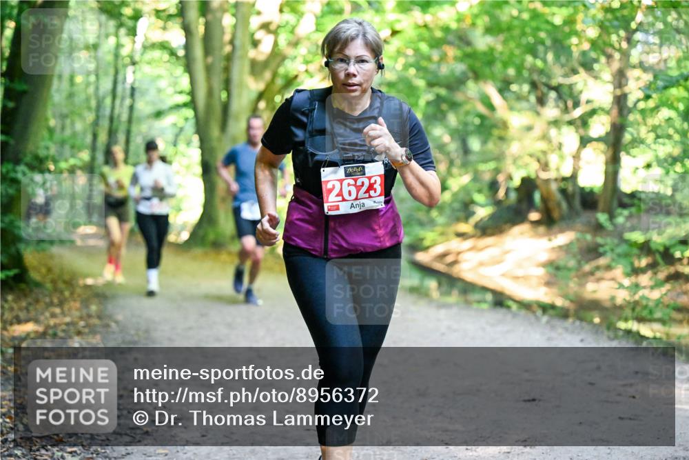 28.09.2025 - 33. Volkslauf durch das schöne Alstertal Dr. Thomas Lammeyer http://msf.ph/oto/8956372 28.09.2025 10:44:43 Laufen 2623 meine-sportfotos.de