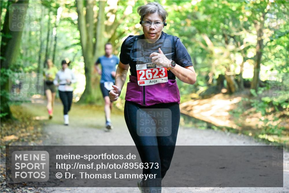 28.09.2025 - 33. Volkslauf durch das schöne Alstertal Dr. Thomas Lammeyer http://msf.ph/oto/8956373 28.09.2025 10:44:44 Laufen 2623 meine-sportfotos.de