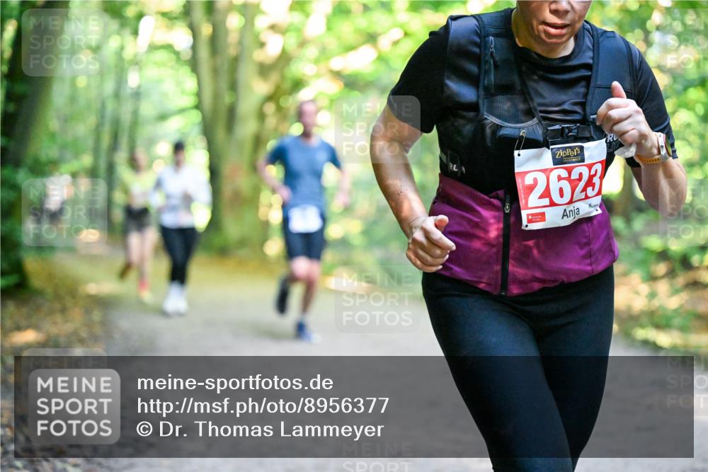 28.09.2025 - 33. Volkslauf durch das schöne Alstertal Dr. Thomas Lammeyer http://msf.ph/oto/8956377 28.09.2025 10:44:44 Laufen 2623 meine-sportfotos.de