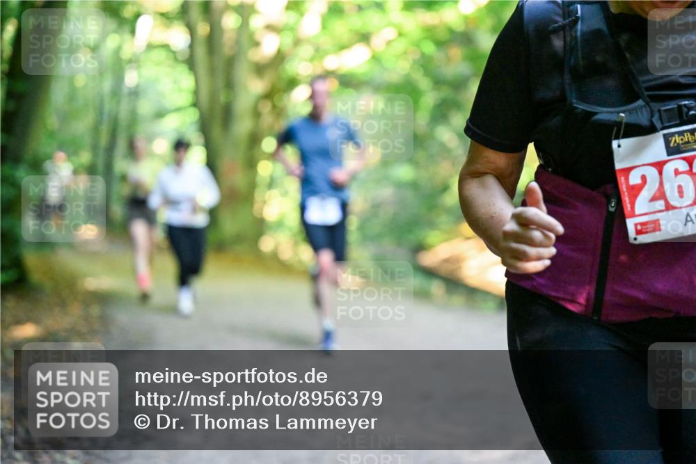 28.09.2025 - 33. Volkslauf durch das schöne Alstertal Dr. Thomas Lammeyer http://msf.ph/oto/8956379 28.09.2025 10:44:44 Laufen 26 meine-sportfotos.de