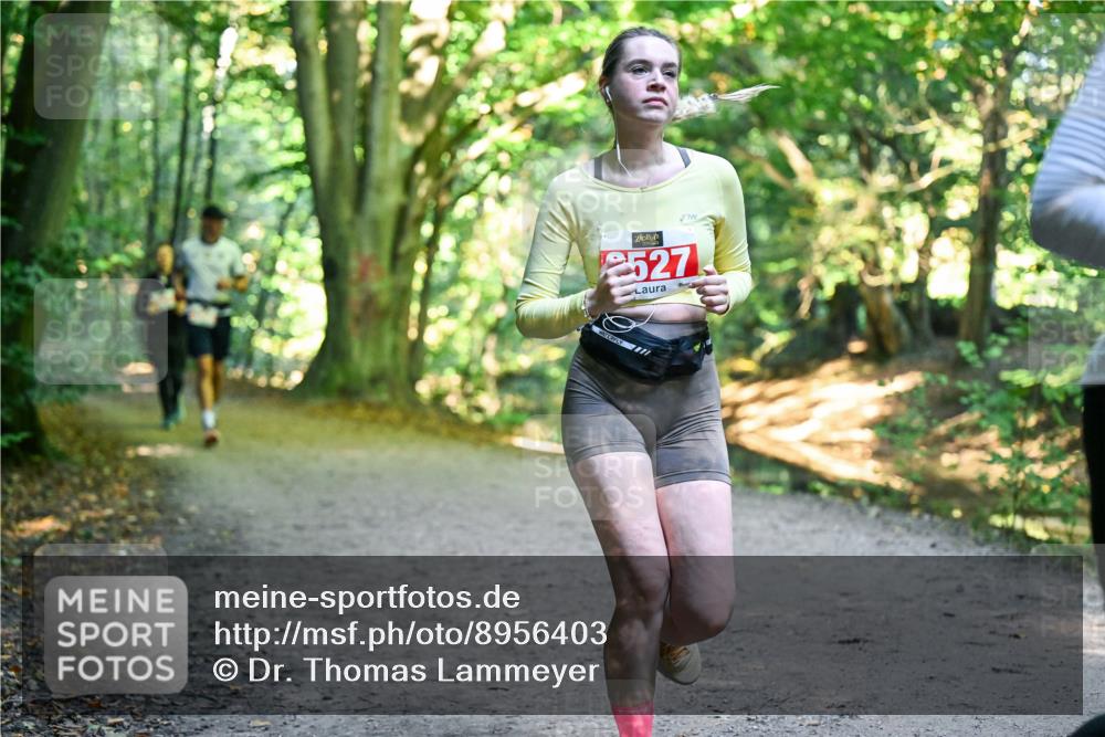 28.09.2025 - 33. Volkslauf durch das schöne Alstertal Dr. Thomas Lammeyer http://msf.ph/oto/8956403 28.09.2025 10:44:49 Laufen 2527 meine-sportfotos.de