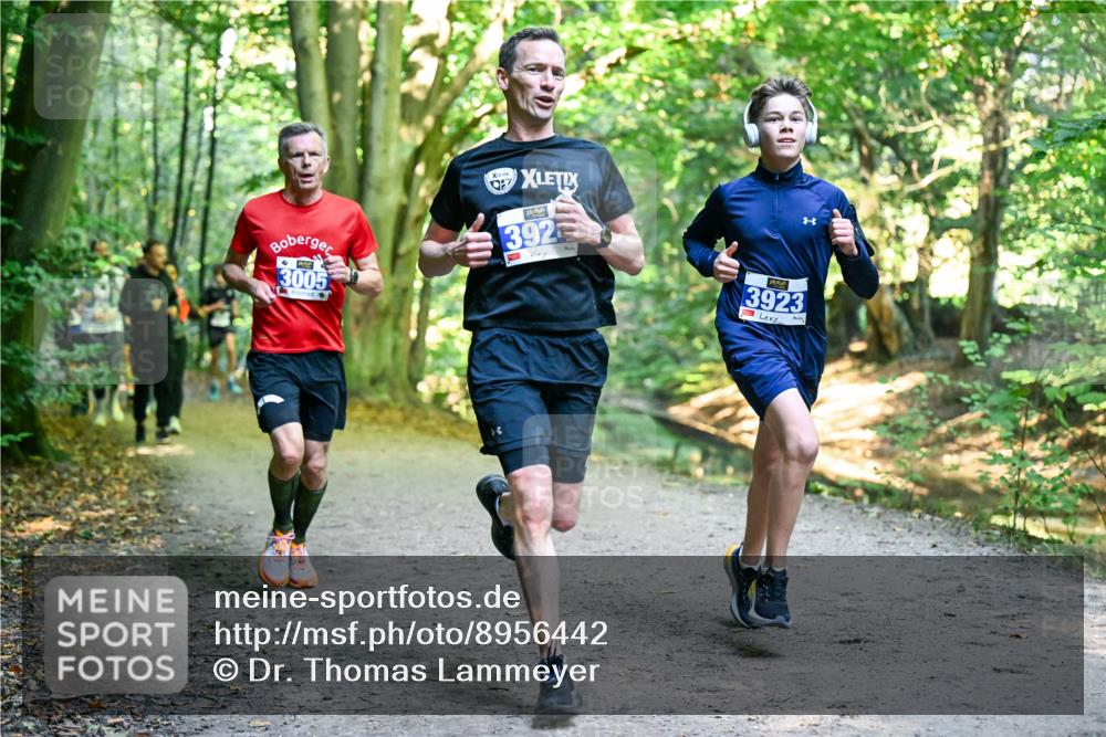 28.09.2025 - 33. Volkslauf durch das schöne Alstertal Dr. Thomas Lammeyer http://msf.ph/oto/8956442 28.09.2025 10:44:57 Laufen 3005, 392, 3923 meine-sportfotos.de