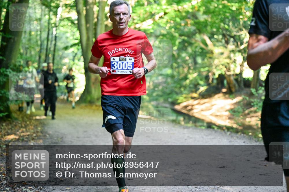 28.09.2025 - 33. Volkslauf durch das schöne Alstertal Dr. Thomas Lammeyer http://msf.ph/oto/8956447 28.09.2025 10:44:58 Laufen 3005 meine-sportfotos.de