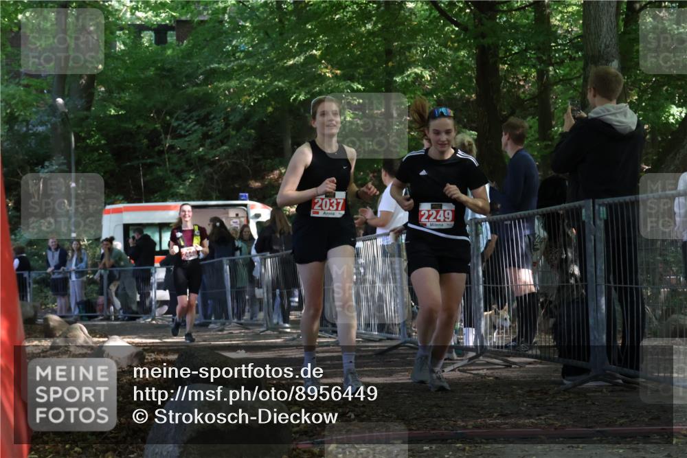 28.09.2025 - 33. Volkslauf durch das schöne Alstertal Strokosch-Dieckow http://msf.ph/oto/8956449 28.09.2025 12:52:12 Ziel 2037, 2249, 2440 meine-sportfotos.de