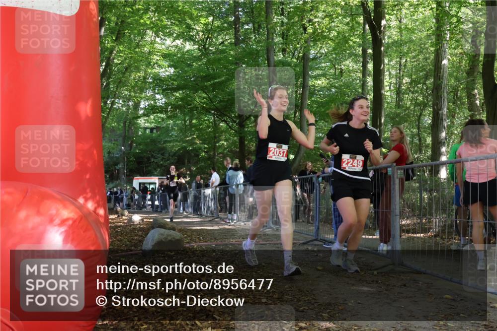 28.09.2025 - 33. Volkslauf durch das schöne Alstertal Strokosch-Dieckow http://msf.ph/oto/8956477 28.09.2025 12:52:14 Ziel 2037, 2249, 2440 meine-sportfotos.de