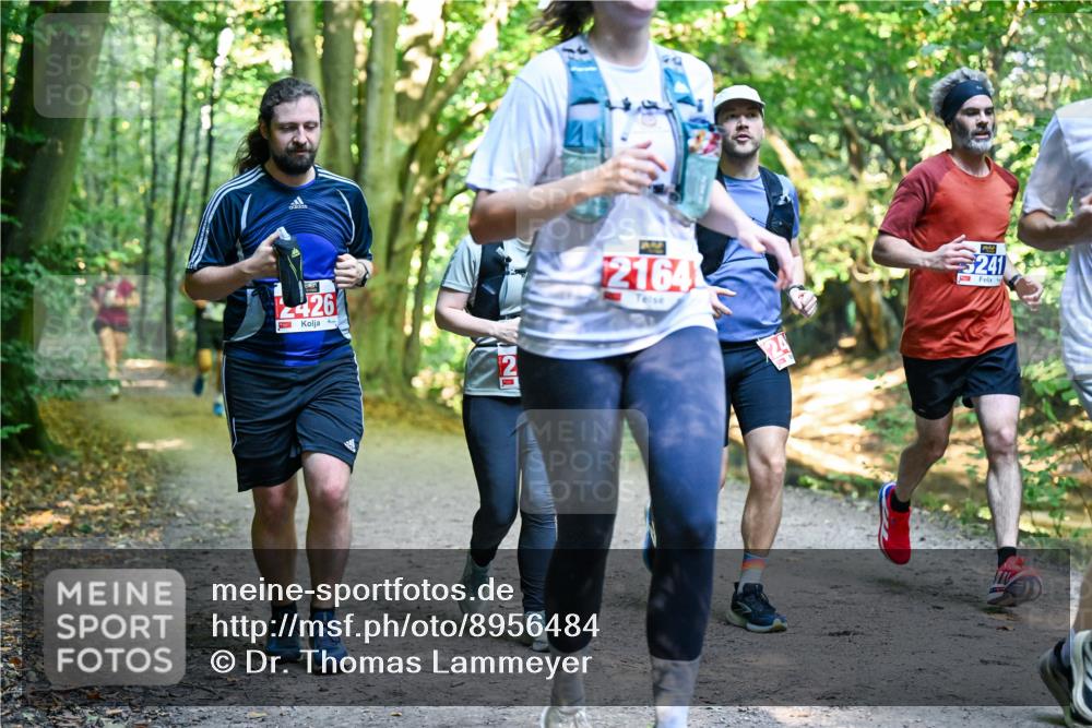 28.09.2025 - 33. Volkslauf durch das schöne Alstertal Dr. Thomas Lammeyer http://msf.ph/oto/8956484 28.09.2025 10:45:05 Laufen 2426, 2, 21641, 241 meine-sportfotos.de