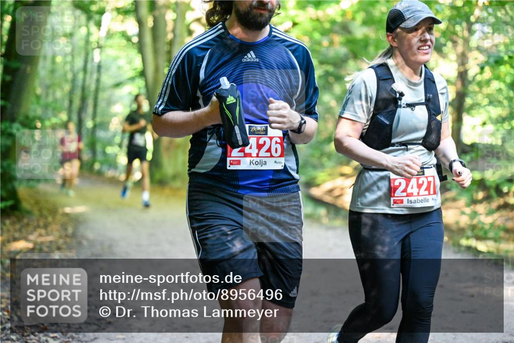 28.09.2025 - 33. Volkslauf durch das schöne Alstertal Dr. Thomas Lammeyer http://msf.ph/oto/8956496 28.09.2025 10:45:06 Laufen 2426, 2427 meine-sportfotos.de