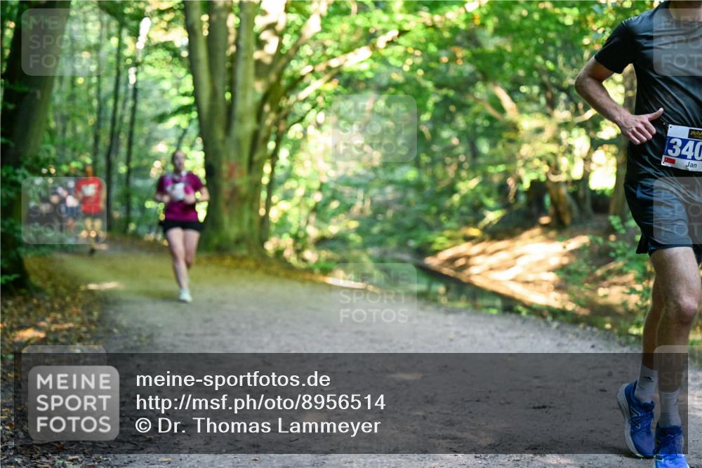 28.09.2025 - 33. Volkslauf durch das schöne Alstertal Dr. Thomas Lammeyer http://msf.ph/oto/8956514 28.09.2025 10:45:10 Laufen 340 meine-sportfotos.de