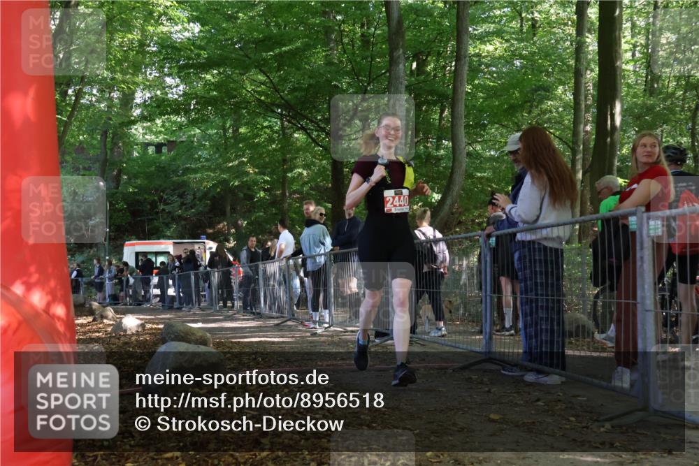 28.09.2025 - 33. Volkslauf durch das schöne Alstertal Strokosch-Dieckow http://msf.ph/oto/8956518 28.09.2025 12:52:18 Ziel 2440 meine-sportfotos.de