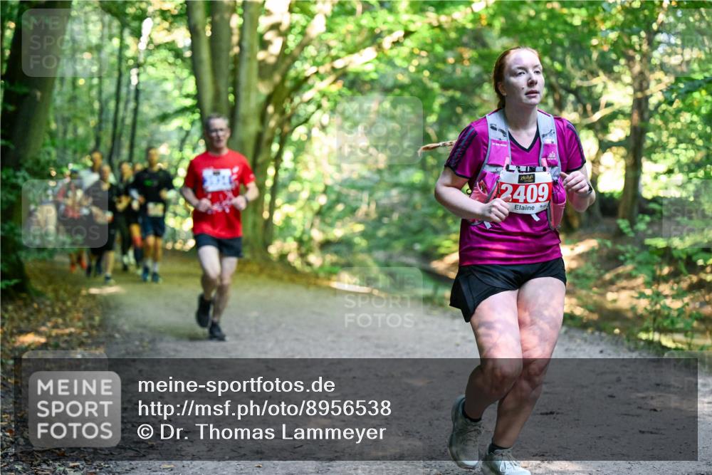 28.09.2025 - 33. Volkslauf durch das schöne Alstertal Dr. Thomas Lammeyer http://msf.ph/oto/8956538 28.09.2025 10:45:14 Laufen 2409 meine-sportfotos.de
