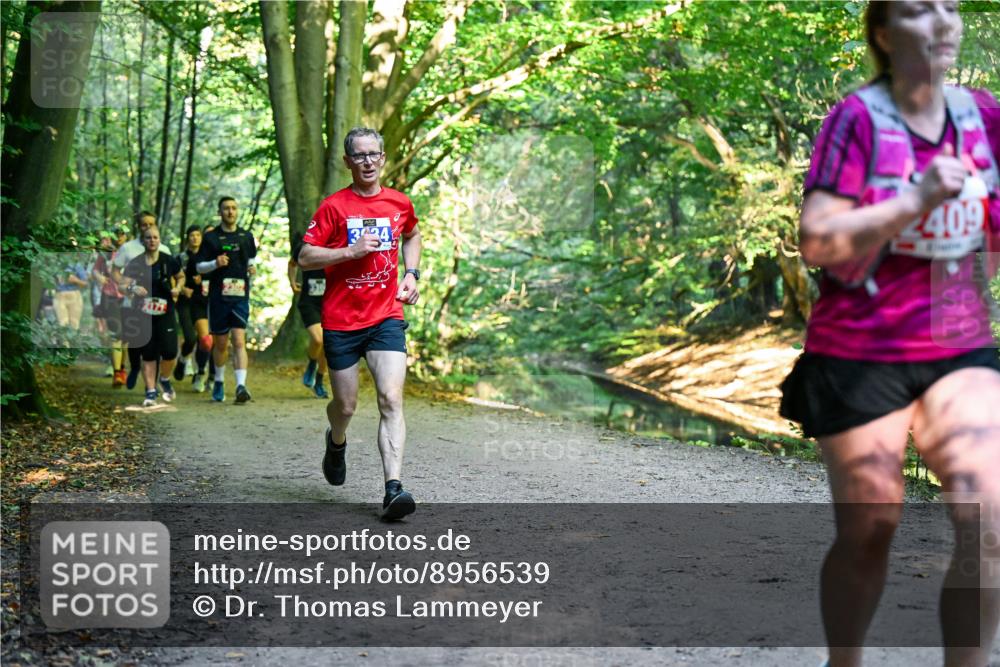 28.09.2025 - 33. Volkslauf durch das schöne Alstertal Dr. Thomas Lammeyer http://msf.ph/oto/8956539 28.09.2025 10:45:15 Laufen 409 meine-sportfotos.de