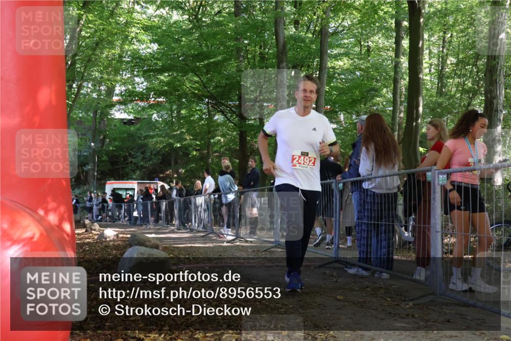 28.09.2025 - 33. Volkslauf durch das schöne Alstertal Strokosch-Dieckow http://msf.ph/oto/8956553 28.09.2025 12:52:43 Ziel 2492 meine-sportfotos.de