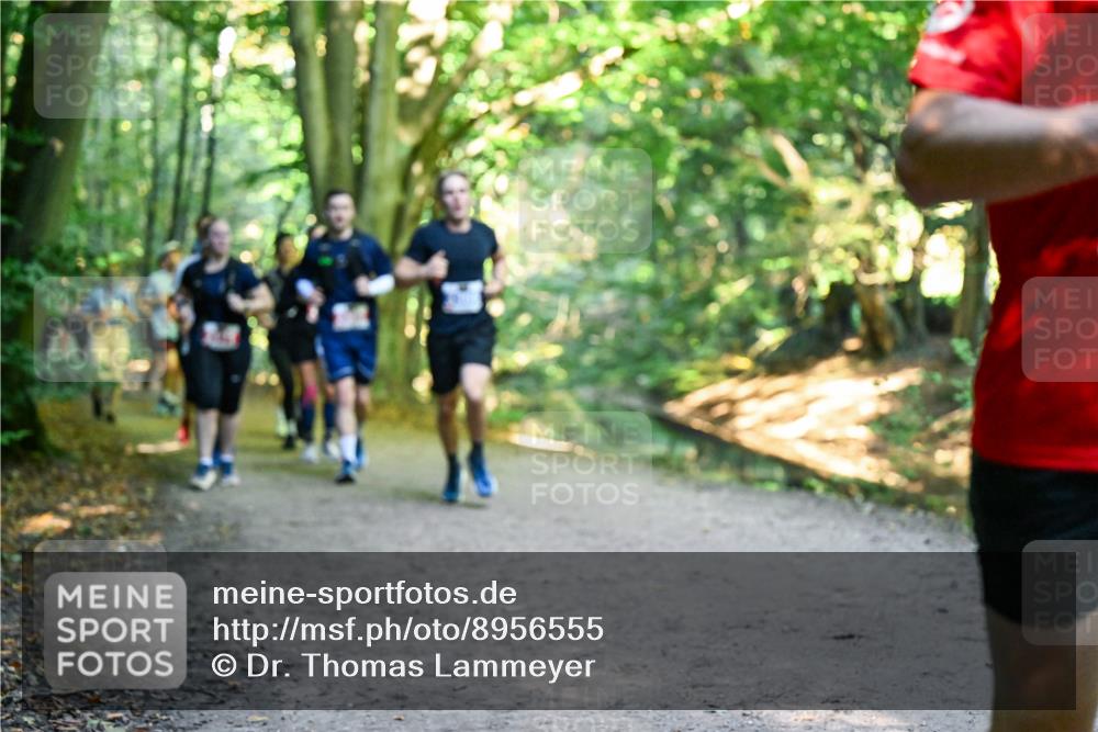 28.09.2025 - 33. Volkslauf durch das schöne Alstertal Dr. Thomas Lammeyer http://msf.ph/oto/8956555 28.09.2025 10:45:17 Laufen  meine-sportfotos.de