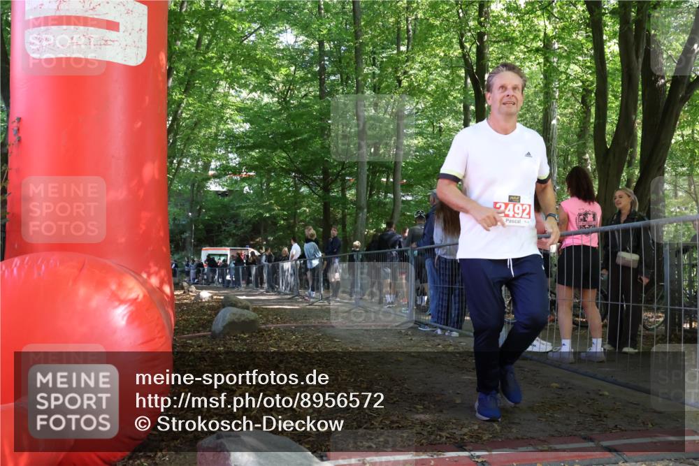 28.09.2025 - 33. Volkslauf durch das schöne Alstertal Strokosch-Dieckow http://msf.ph/oto/8956572 28.09.2025 12:52:44 Ziel 2492 meine-sportfotos.de