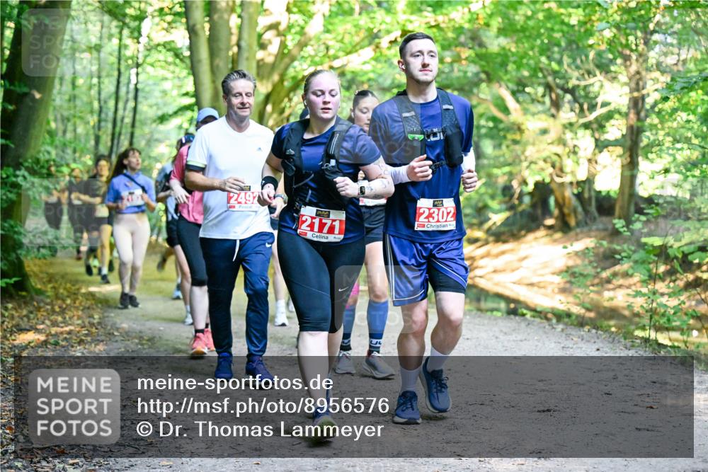 28.09.2025 - 33. Volkslauf durch das schöne Alstertal Dr. Thomas Lammeyer http://msf.ph/oto/8956576 28.09.2025 10:45:20 Laufen 2492, 2171, 2302 meine-sportfotos.de