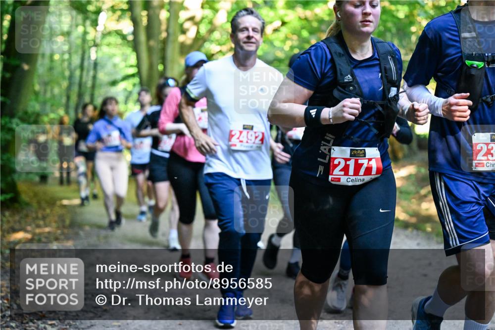 28.09.2025 - 33. Volkslauf durch das schöne Alstertal Dr. Thomas Lammeyer http://msf.ph/oto/8956585 28.09.2025 10:45:21 Laufen 2492, 2171, 23 meine-sportfotos.de