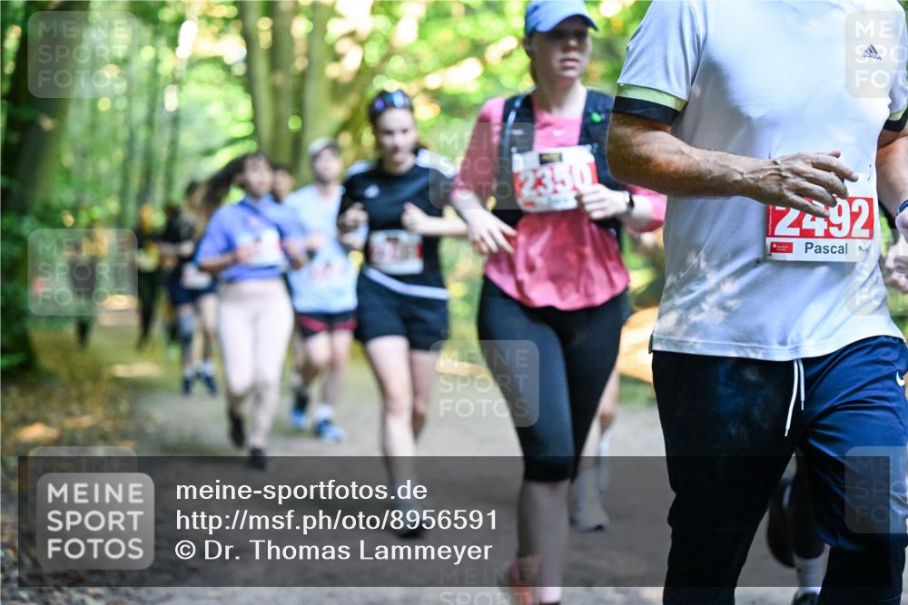 28.09.2025 - 33. Volkslauf durch das schöne Alstertal Dr. Thomas Lammeyer http://msf.ph/oto/8956591 28.09.2025 10:45:22 Laufen 2350, 2492 meine-sportfotos.de