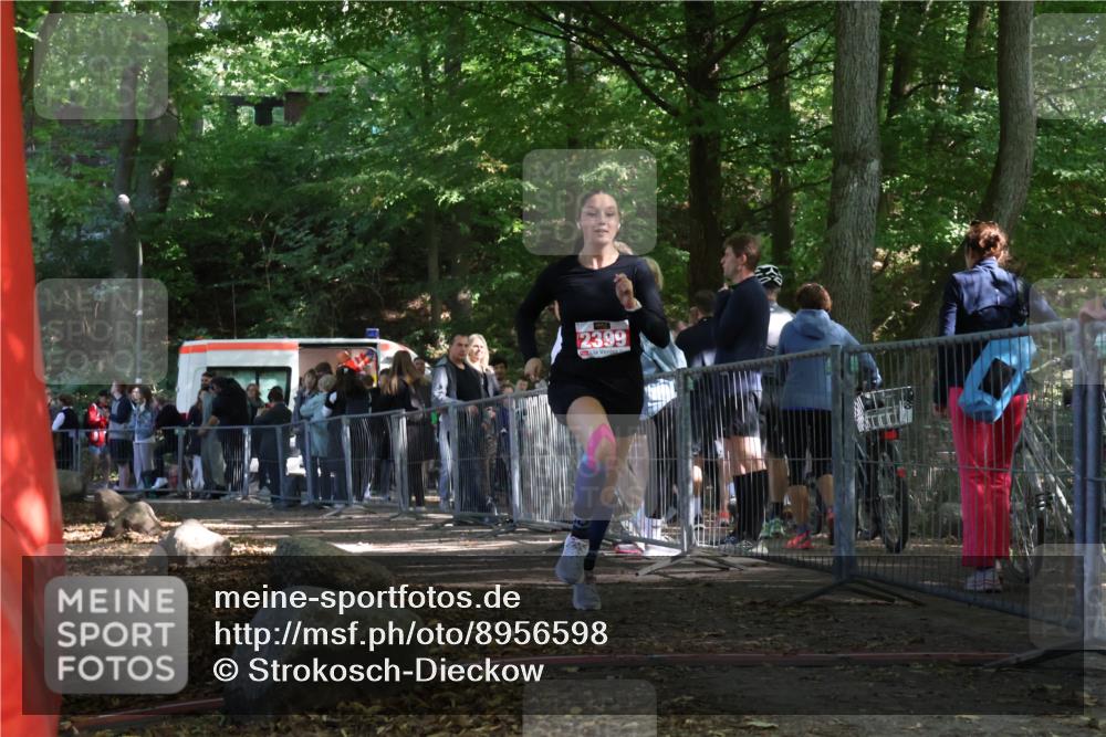 28.09.2025 - 33. Volkslauf durch das schöne Alstertal Strokosch-Dieckow http://msf.ph/oto/8956598 28.09.2025 12:52:53 Ziel 2399 meine-sportfotos.de