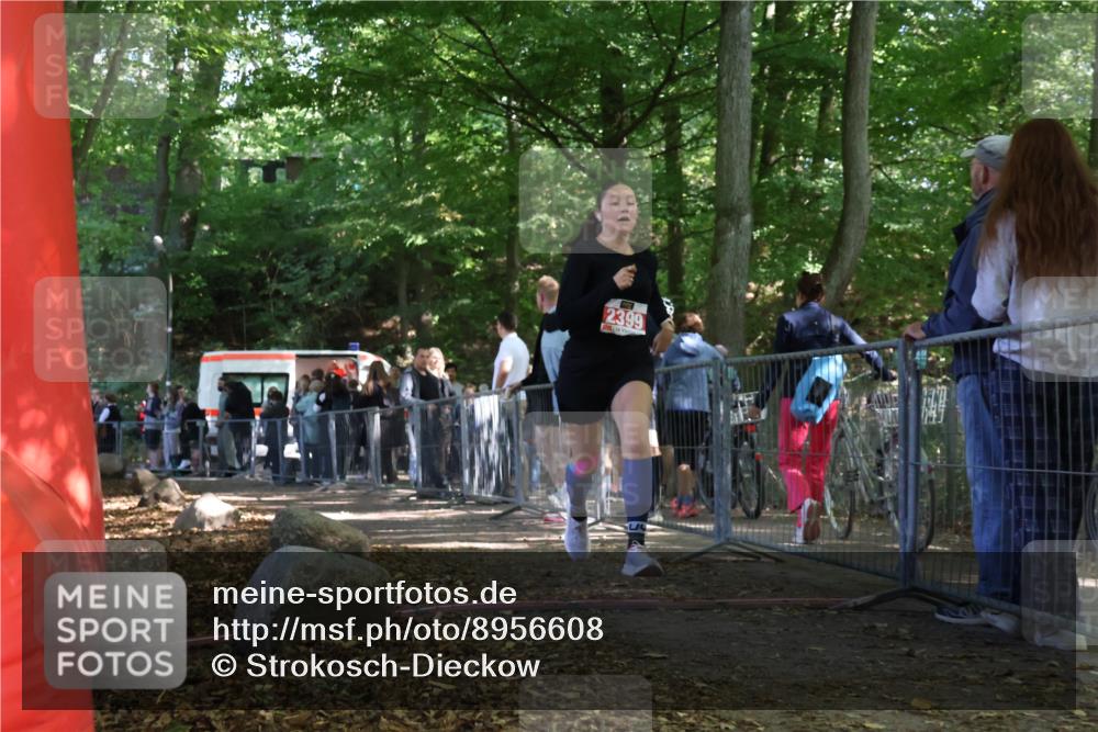 28.09.2025 - 33. Volkslauf durch das schöne Alstertal Strokosch-Dieckow http://msf.ph/oto/8956608 28.09.2025 12:52:54 Ziel 2399 meine-sportfotos.de