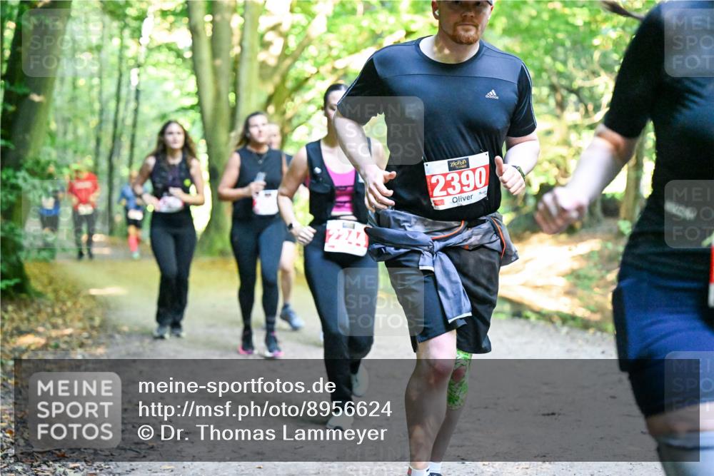 28.09.2025 - 33. Volkslauf durch das schöne Alstertal Dr. Thomas Lammeyer http://msf.ph/oto/8956624 28.09.2025 10:45:27 Laufen 2390 meine-sportfotos.de