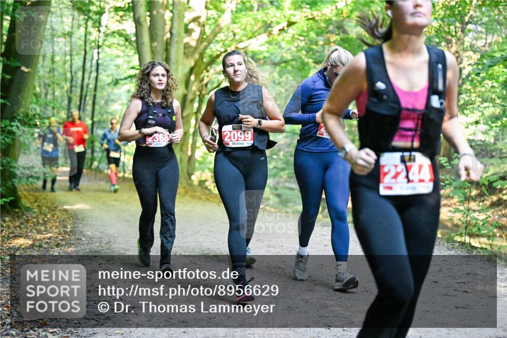 28.09.2025 - 33. Volkslauf durch das schöne Alstertal Dr. Thomas Lammeyer http://msf.ph/oto/8956629 28.09.2025 10:45:28 Laufen 2368, 2099, 2244 meine-sportfotos.de